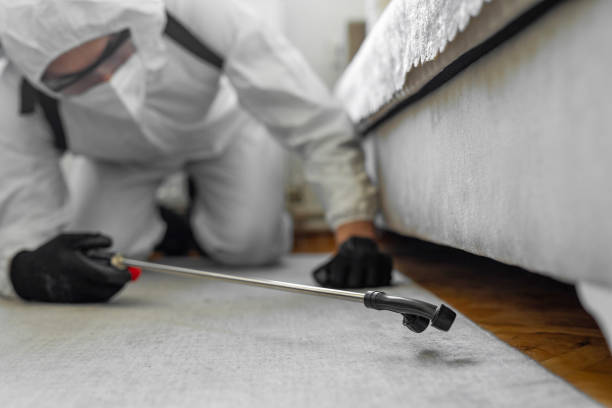 Professional Emergency Pest Control technician working in Mount Healthy Heights, OH