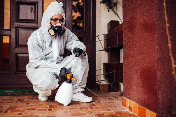 Reliable Emergency Pest Control contractor in Mount Healthy Heights, OH by Nex Pest Control