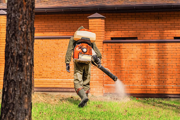 Trusted Rodent Control service in Mount Healthy Heights, OH - Nex Pest Control